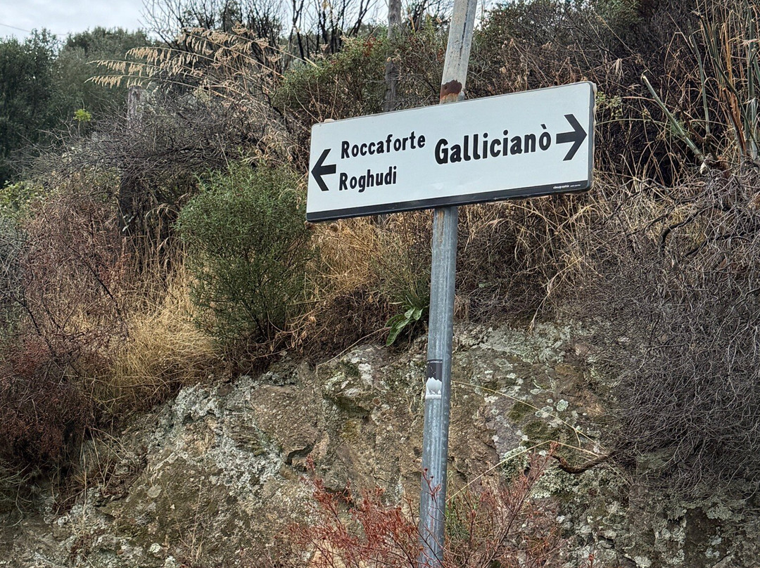 My Bella Vita Travel-卡坦扎罗必去景点