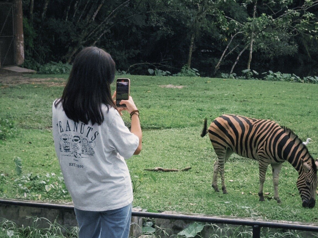 Zoo Taiping & Night Safari-太平必去景点