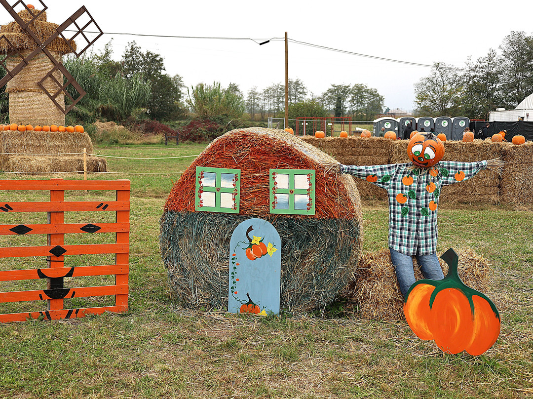 Il Villaggio della Zucca-Favria必去景点