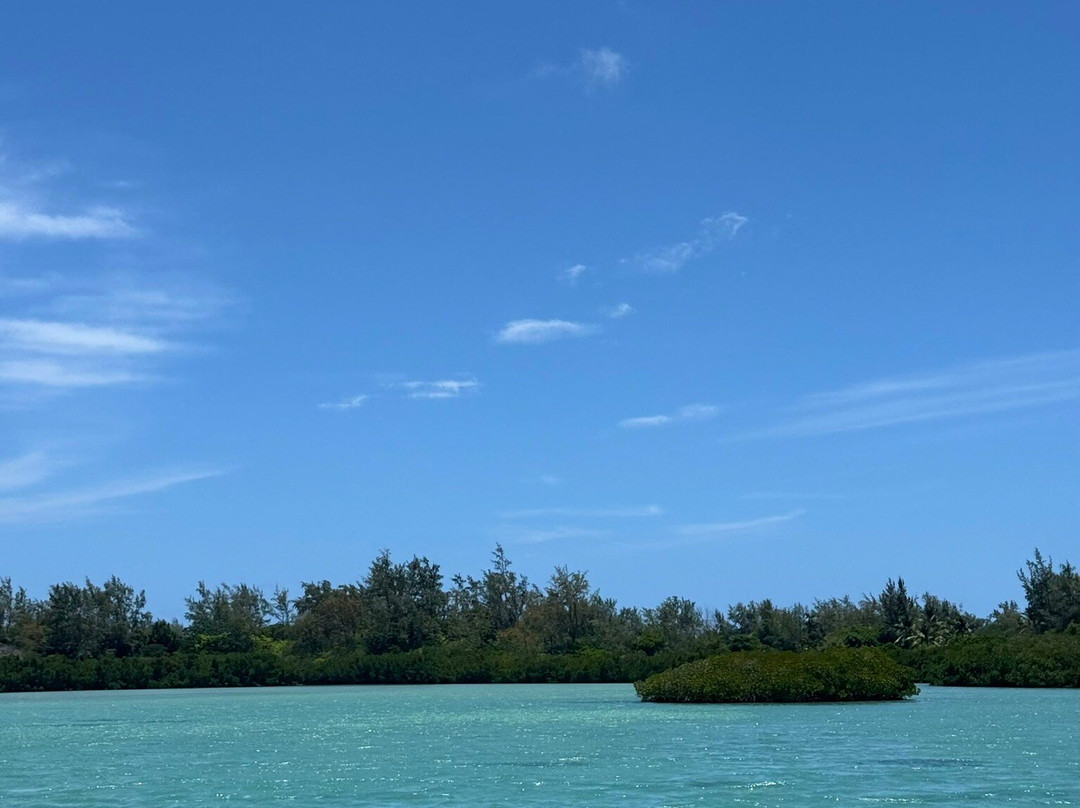 Croisières Australes-大湾必去景点