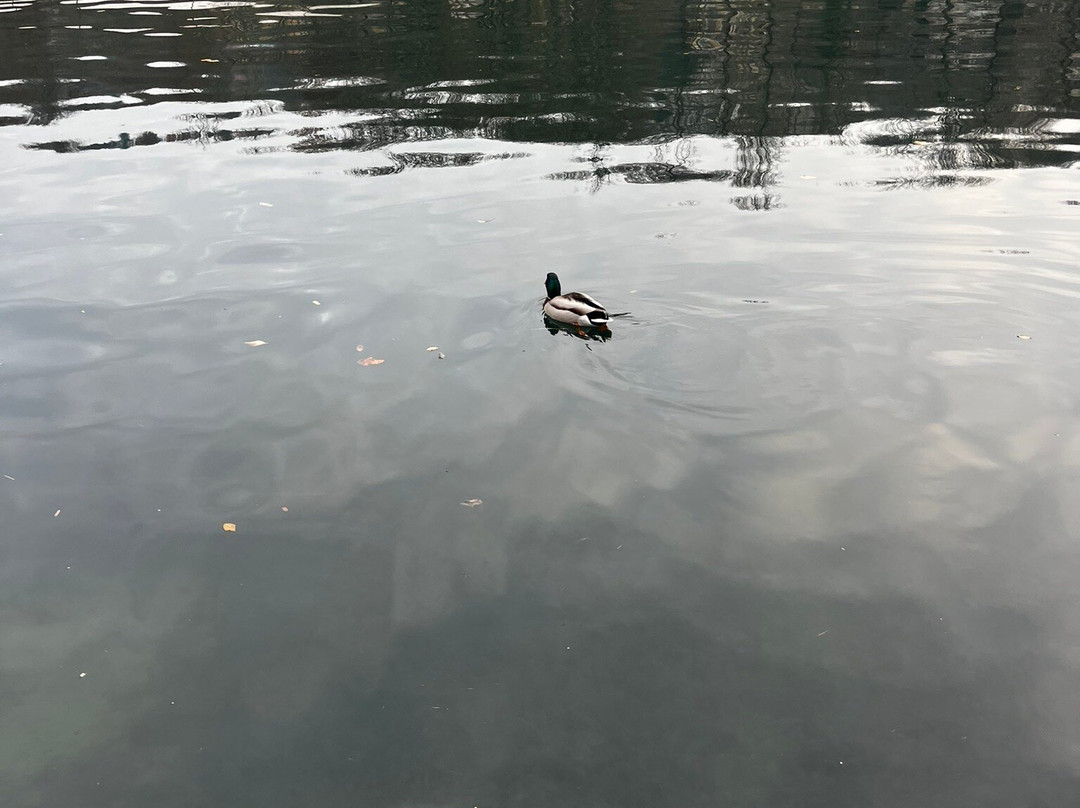 瓦伦蒂诺公园-都灵必去景点