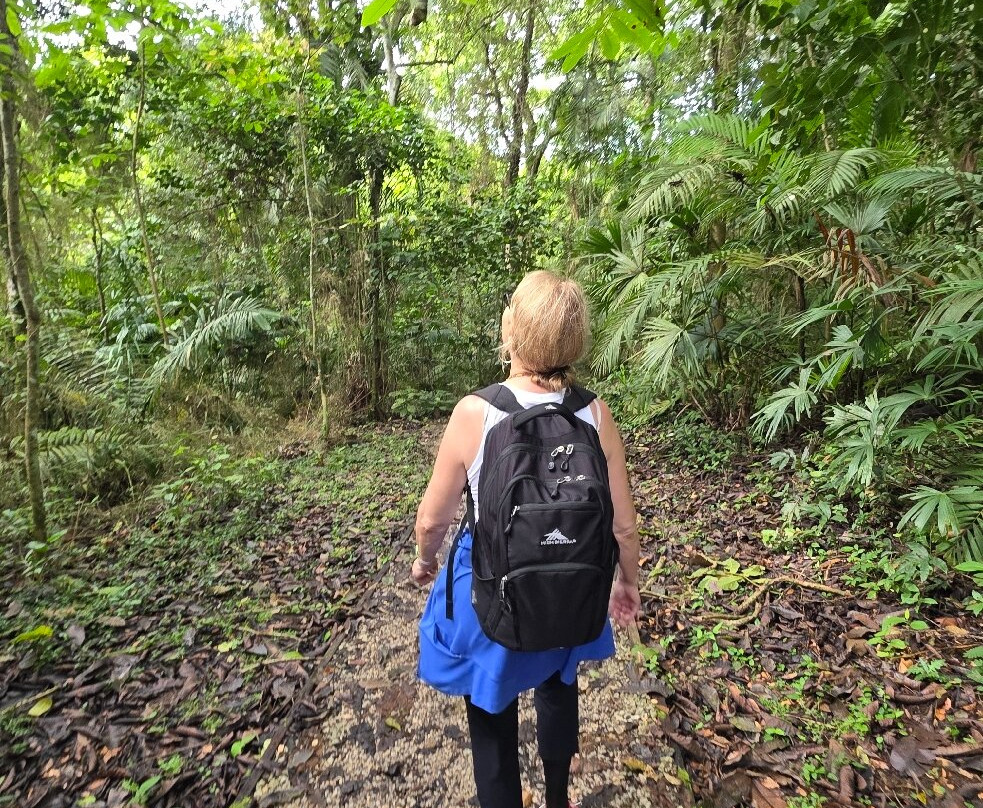 Panama Relocation Tours-波魁特必去景点