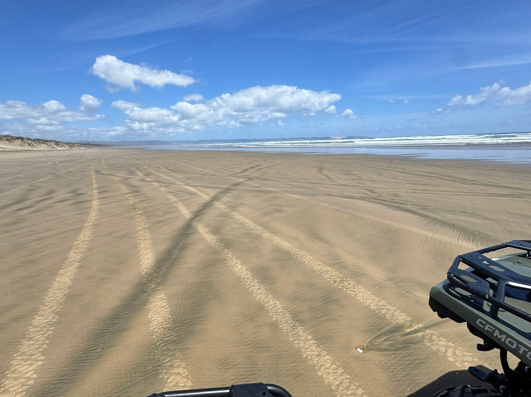 Tuatua Rentals-Ahipara必去景点