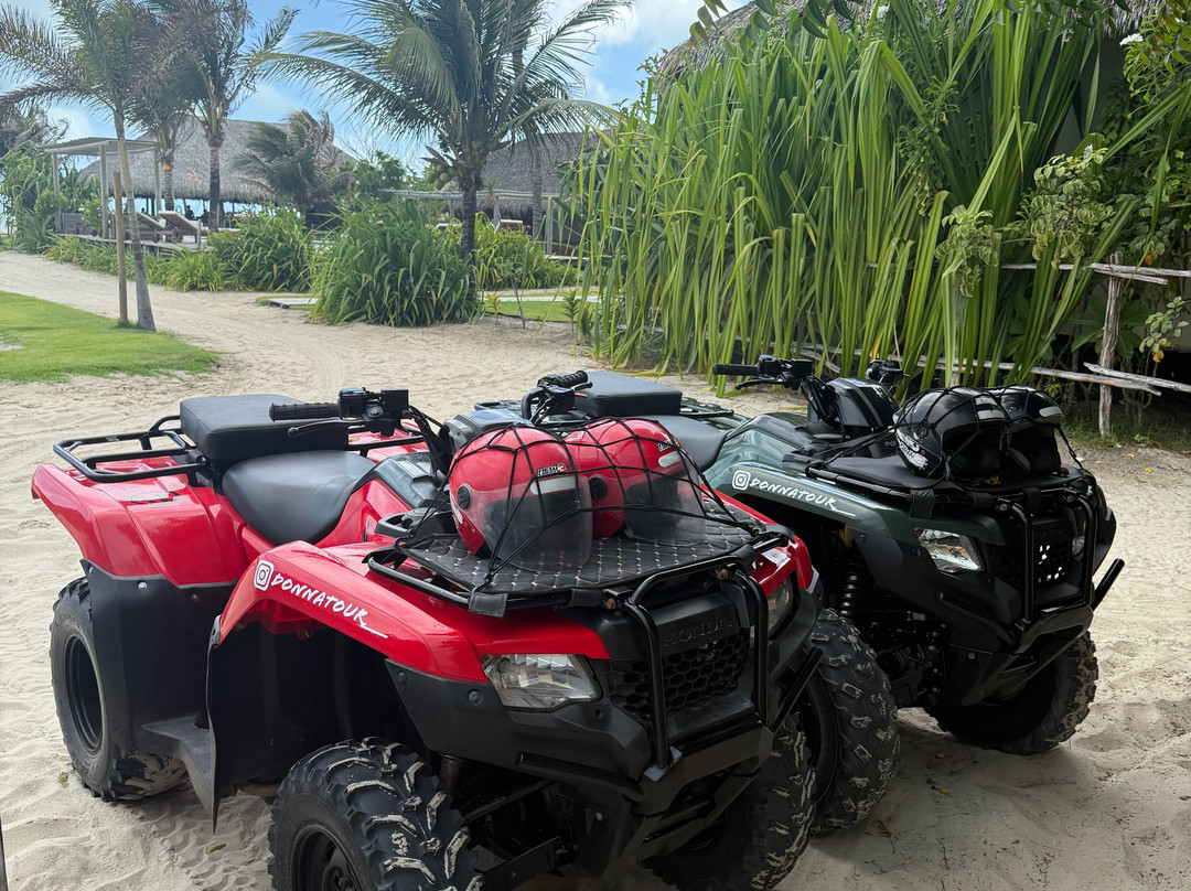 Donnatour - Passeios e Aluguel de Quadriciclo-Prea必去景点