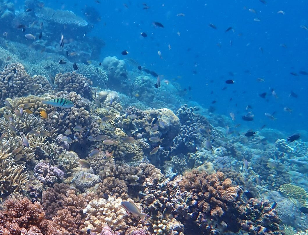 SOFANDA RESORT-Dompu必去景点