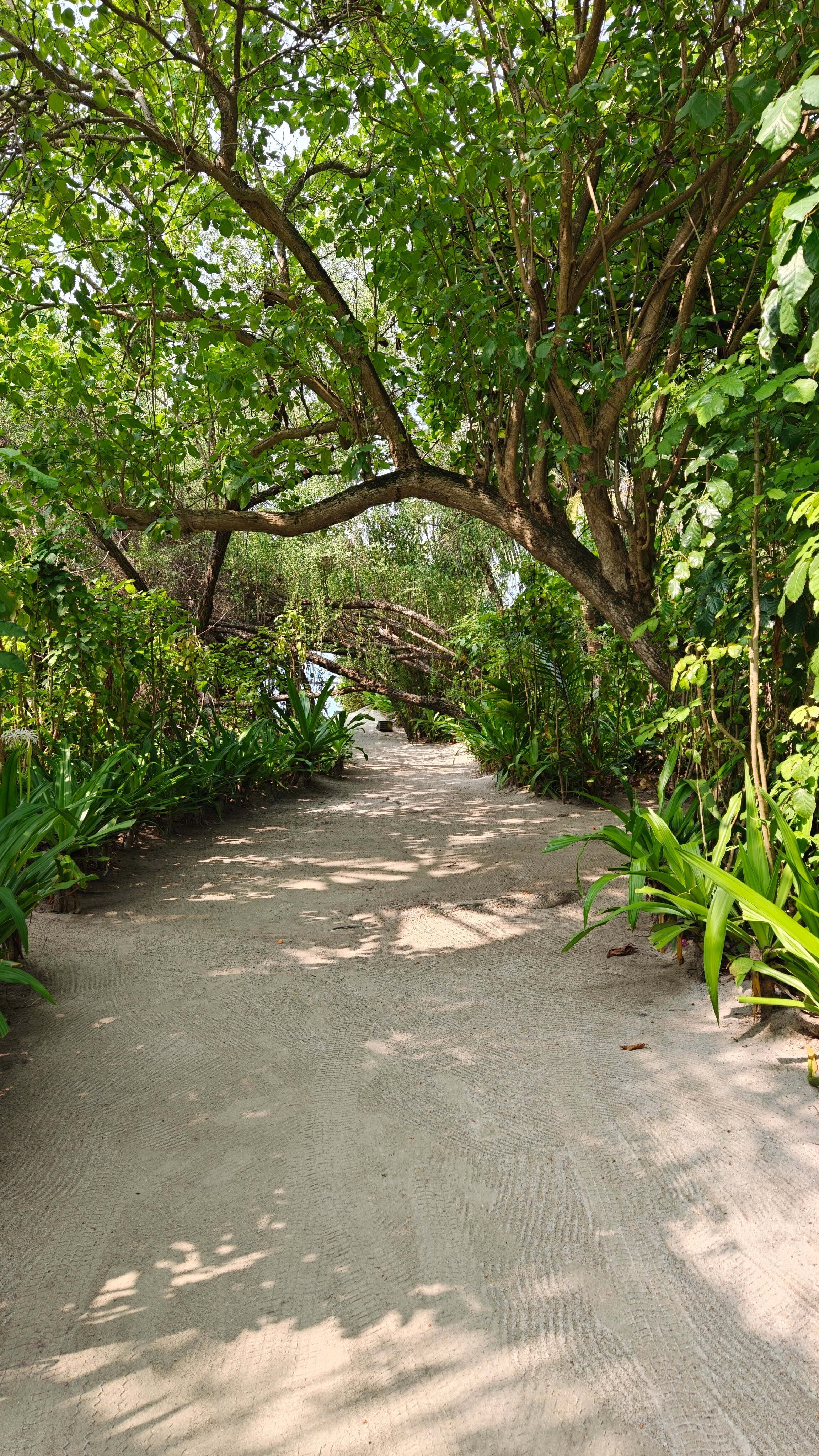 马尔代夫岛多纳库希隐避温泉度假村-浴室