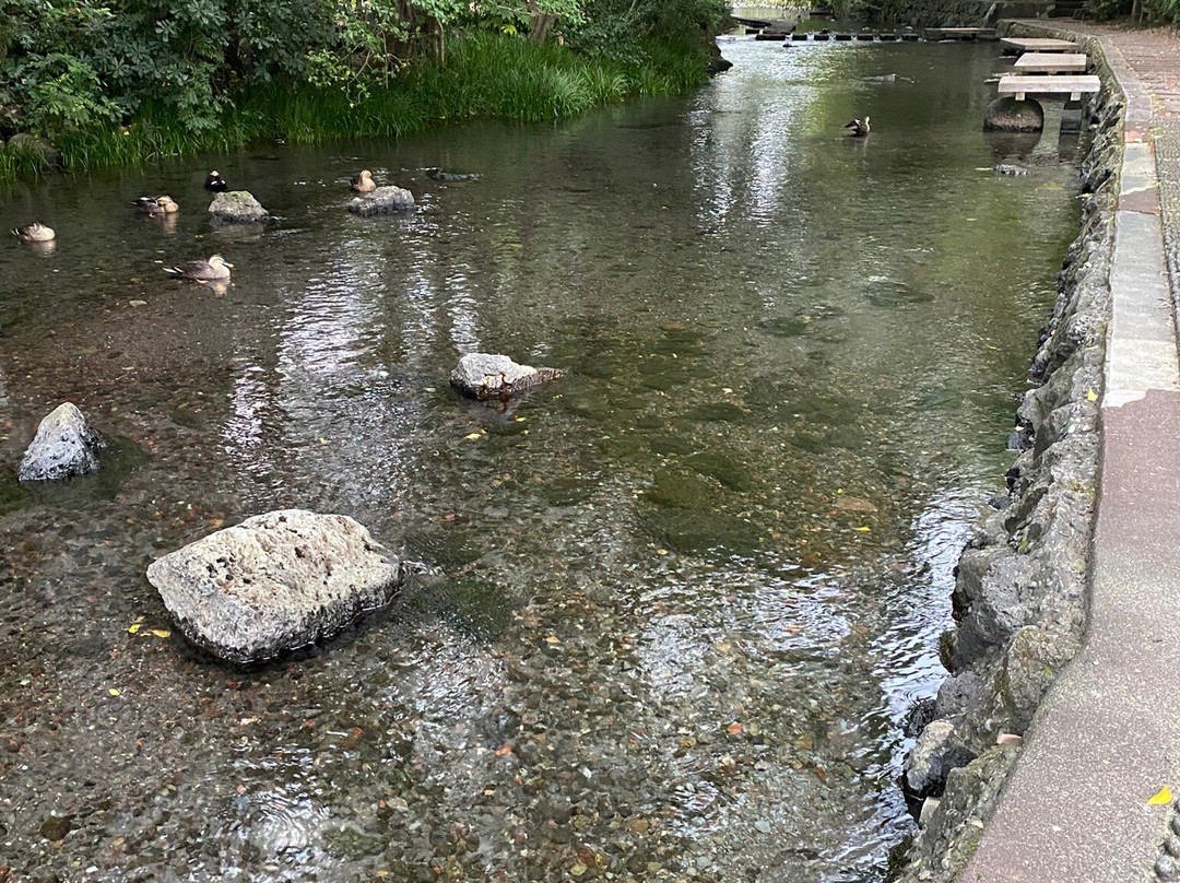 Gempeigawa River-三岛市必去景点