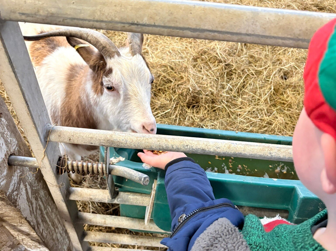 Palette And Pasture-Trudoxhill必去景点