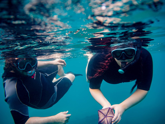 Ocean Project Maui LLC-拉海纳必去景点