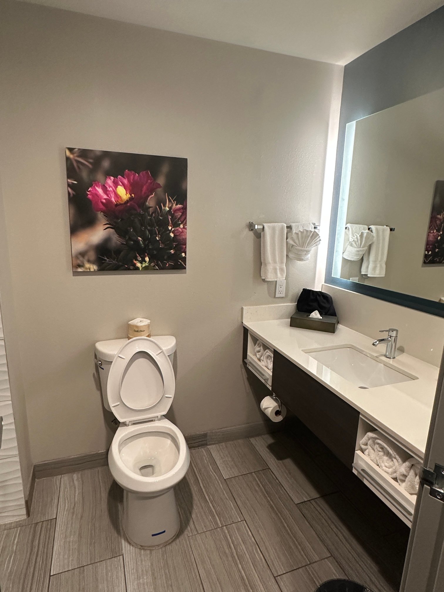 La Quinta Inn & Suites by Wyndham Holbrook Petrified Forest-浴室