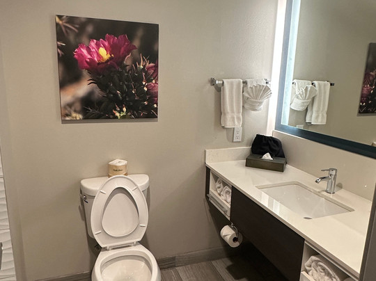 La Quinta Inn & Suites by Wyndham Holbrook Petrified Forest主图