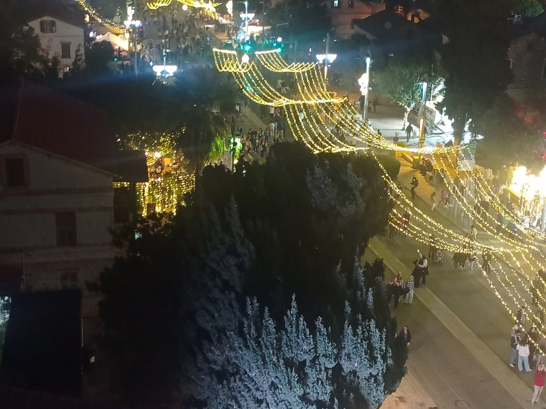 Botanica Haifa主图