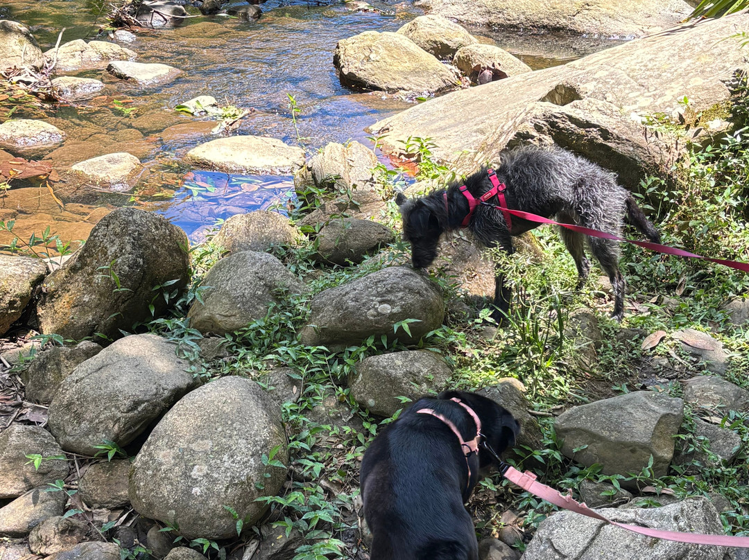 Bocaina Experience - Turismo & Cultura-Sao Jose do Barreiro必去景点