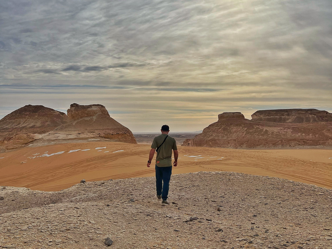 tamer safari-开罗必去景点