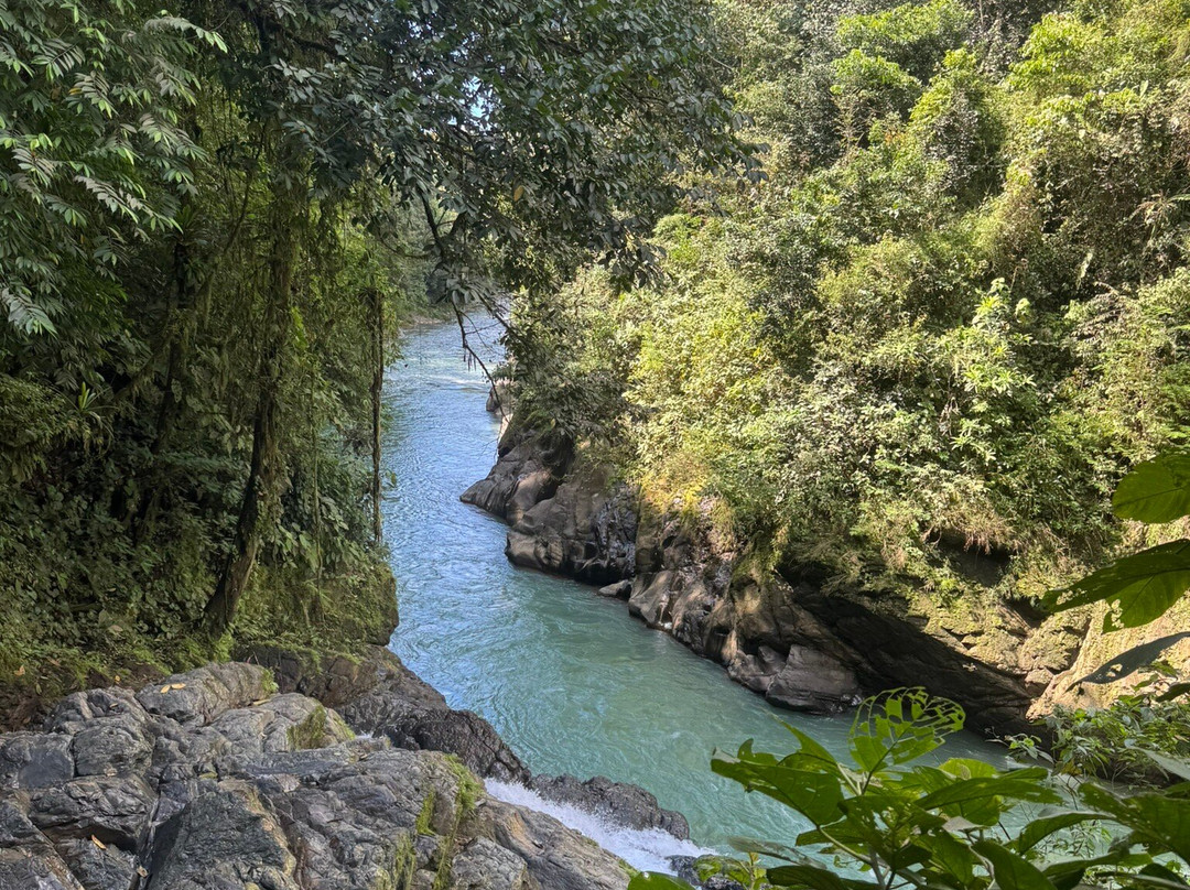 Brisas del Nara-哥斯达黎加安东尼奥国家公园必去景点