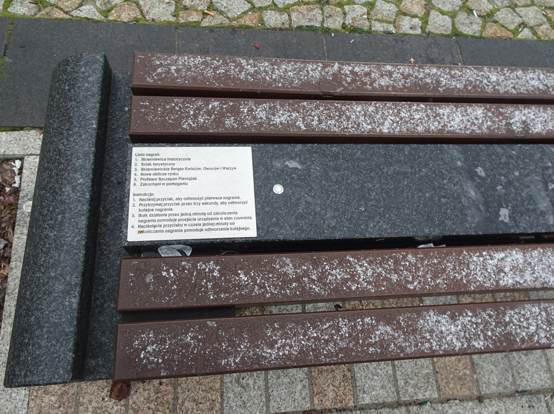 Old Market Square-Skierniewice必去景点