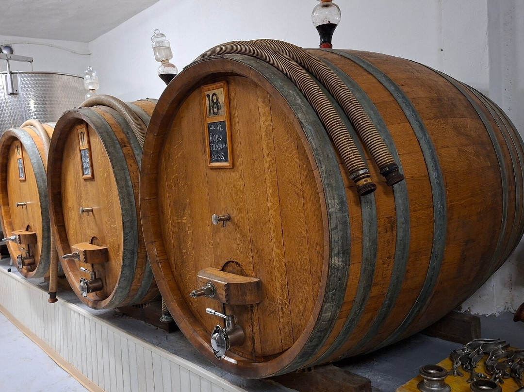 Pasqualetti Viticoltori-Peccioli必去景点