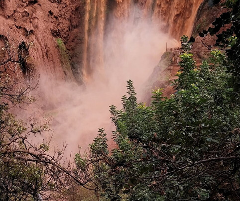 marrakech get your guide-马拉喀什必去景点