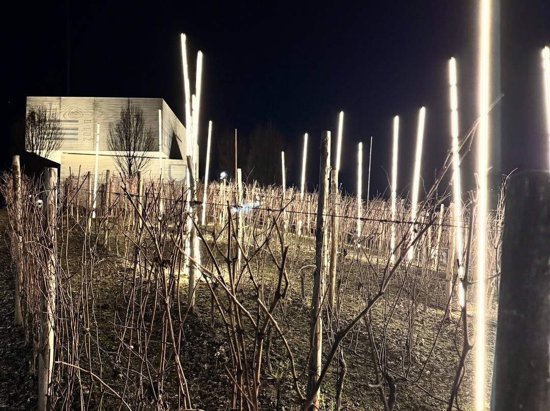 L"Astemia-巴罗洛必去景点