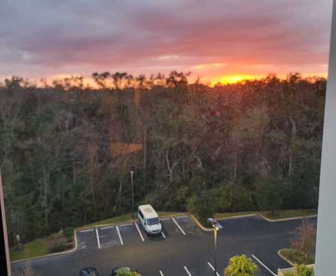 Hilton Garden Inn Tampa - Wesley Chapel主图