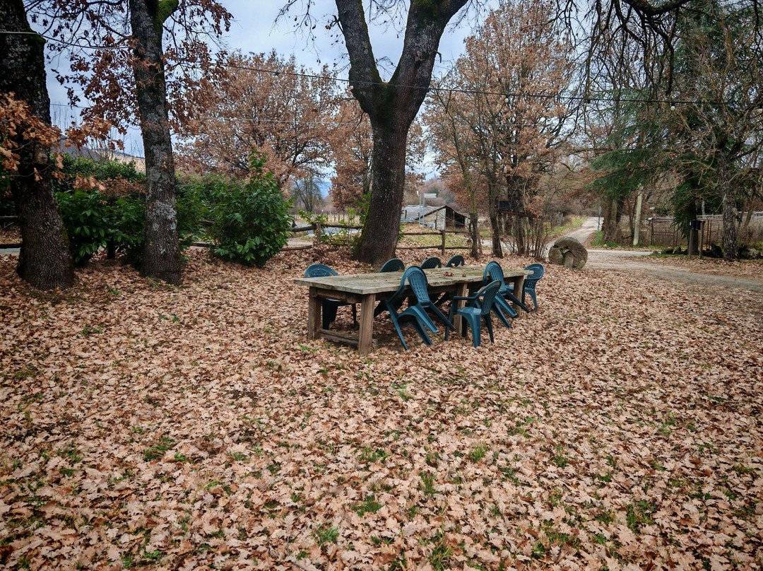 B&B Le Calecatine主图