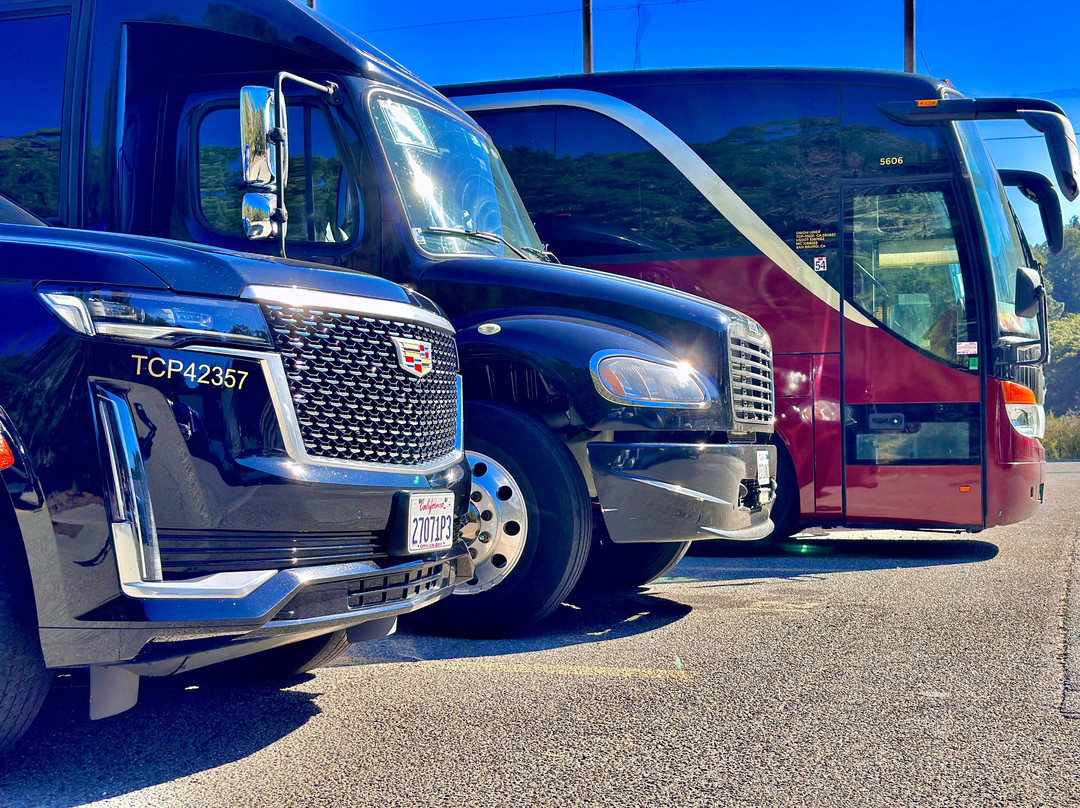 SF Black Car-戴利城必去景点