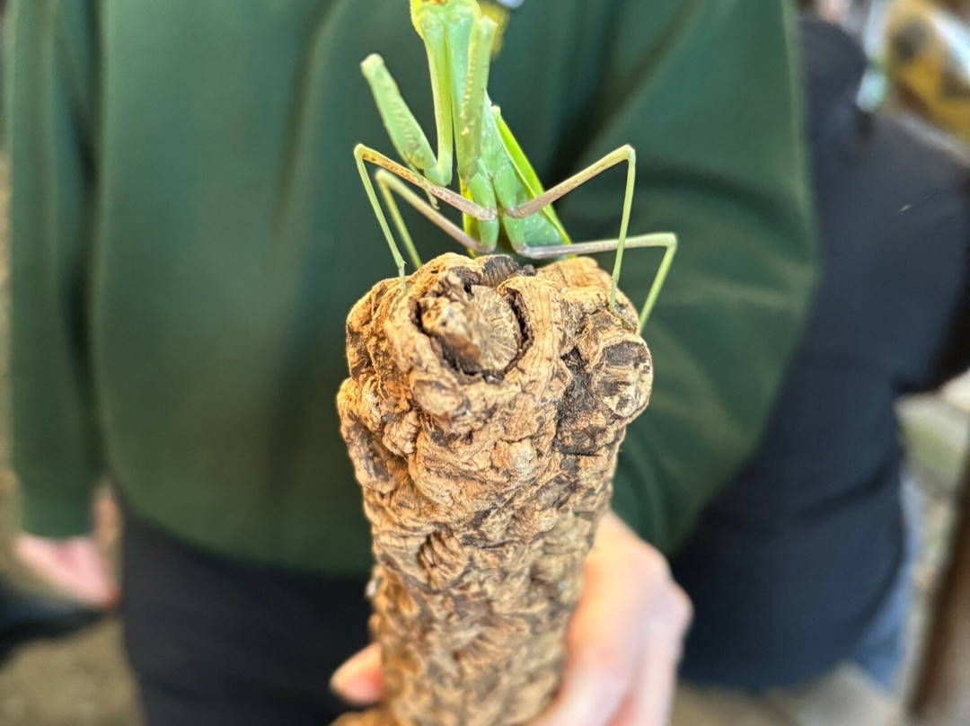 Exmoor Zoo-巴恩斯特珀尔必去景点