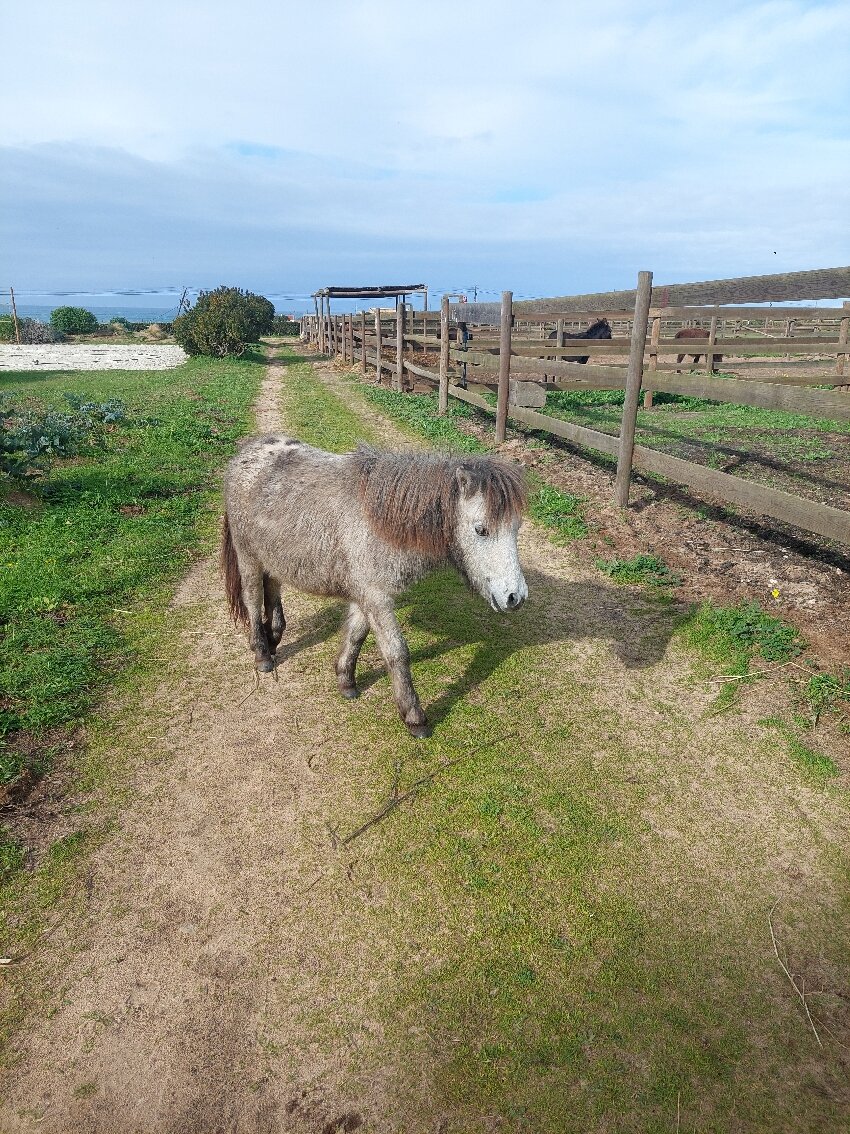 Monte Da Bemposta-官方