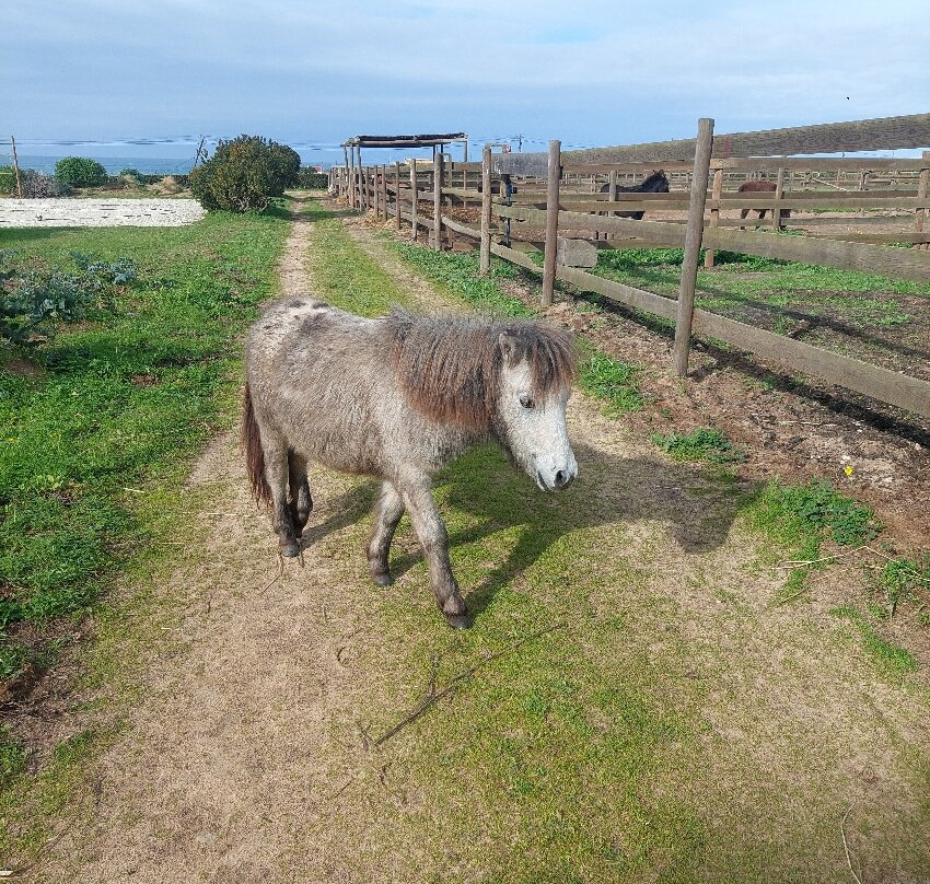 Monte Da Bemposta主图