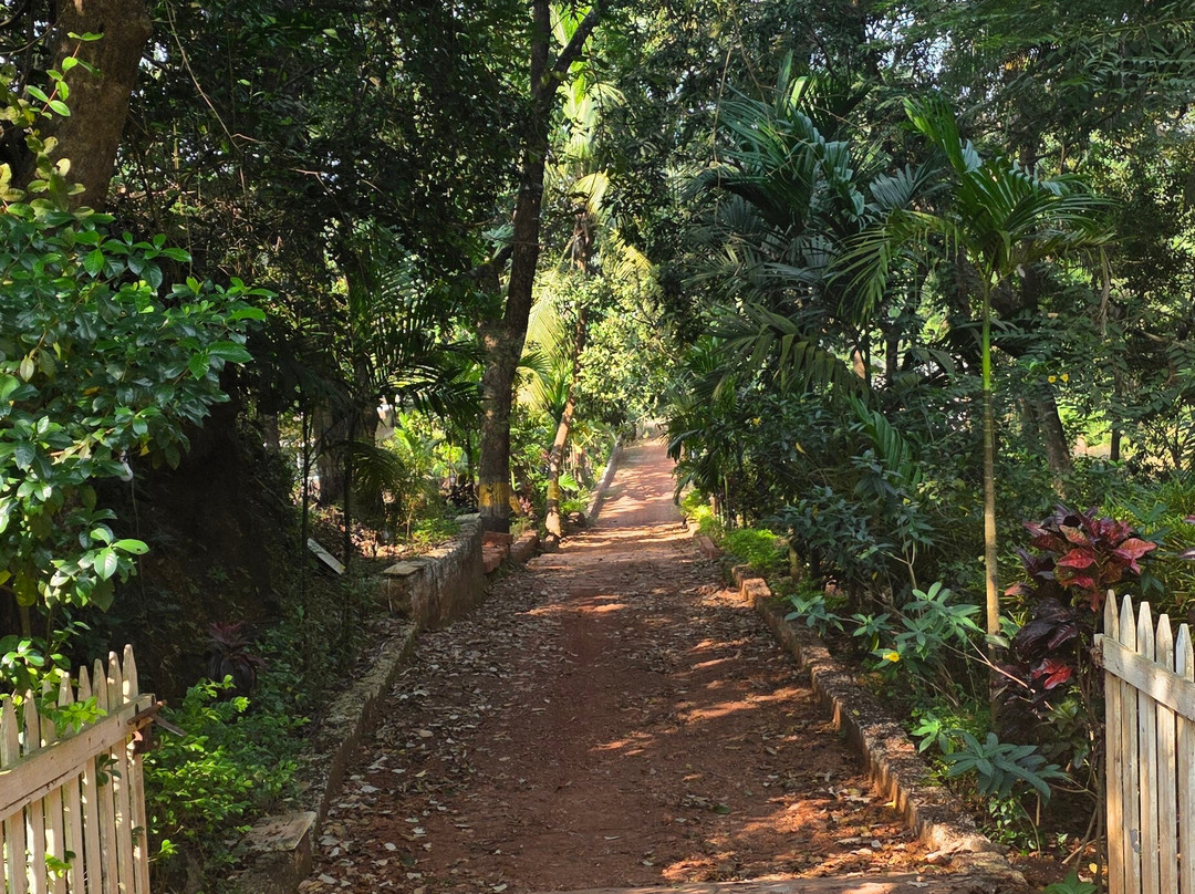 Yoga Chaitanya International Institute-Ranibagh必去景点
