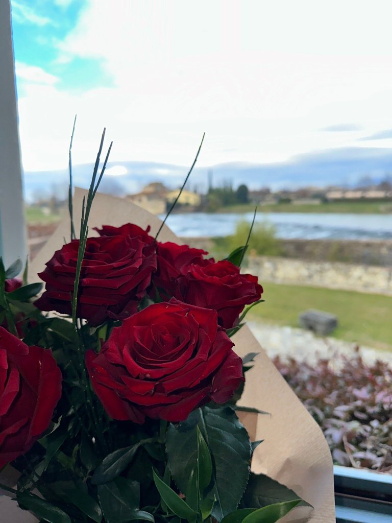 佛罗伦萨姆利诺迪酒店-官方