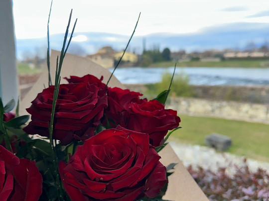 佛罗伦萨姆利诺迪酒店主图