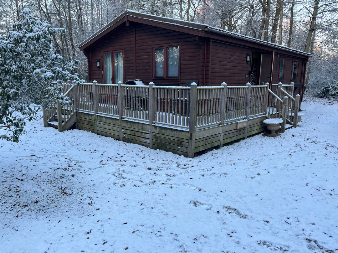 Alderwood Lodges