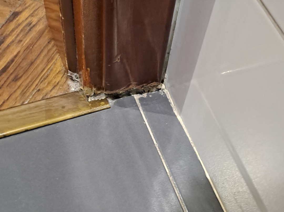 维罗纳会议中心假日酒店主图