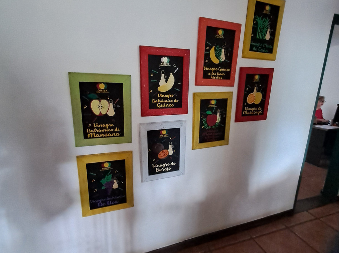 Museo Del Vinagre-卡利必去景点