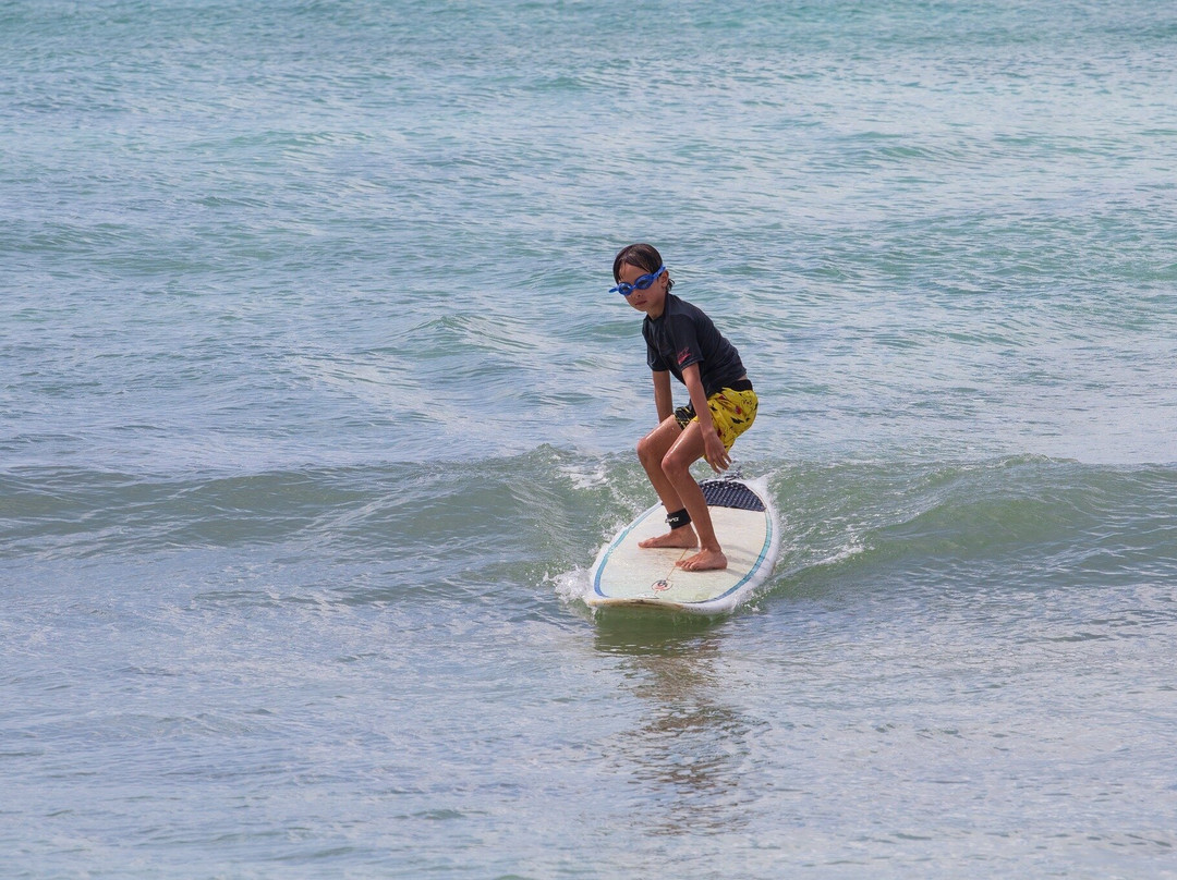 Bodie's School of Surf-奥伊斯廷斯必去景点