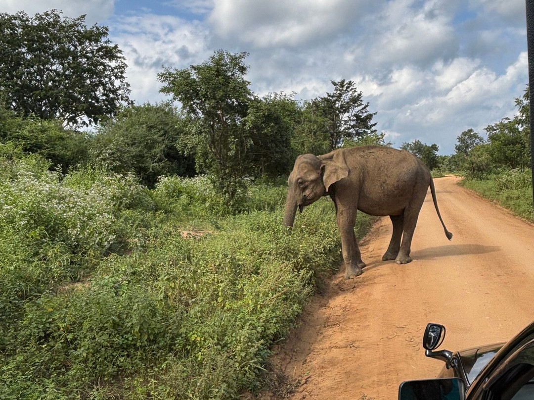 Different Discovery Tours-卡图纳耶克必去景点