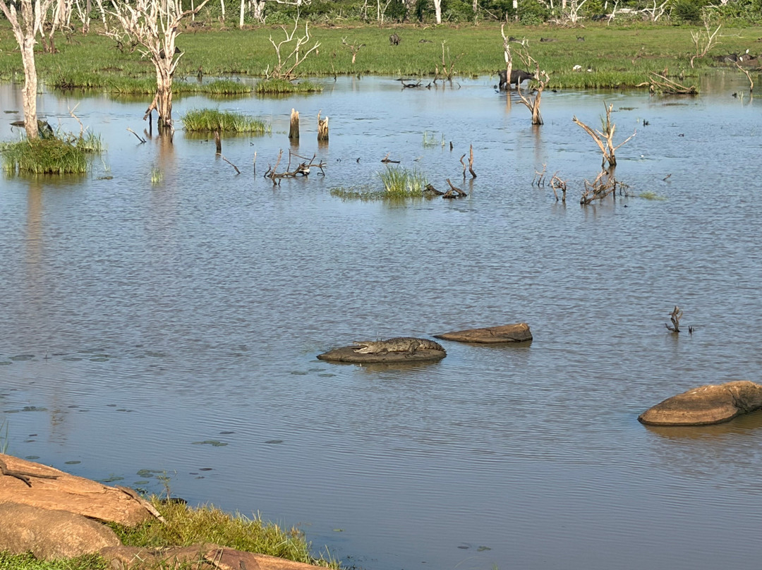 Yala Safari Srilanka-蒂瑟默哈拉默必去景点