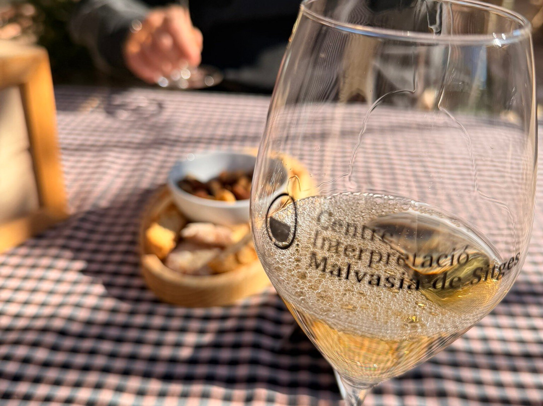 Centre d'Interpretacio De La Malvasia-锡切斯必去景点