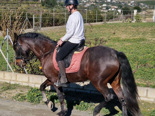 Rancho pancho-Alhaurin el Grande必去景点