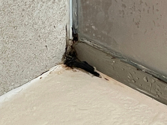 Suites Hotel Astor主图