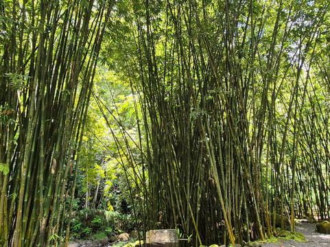 Faarumai Waterfalls-阿鲁埃必去景点