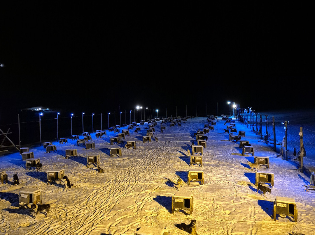 Green Dog Svalbard-朗伊尔城必去景点