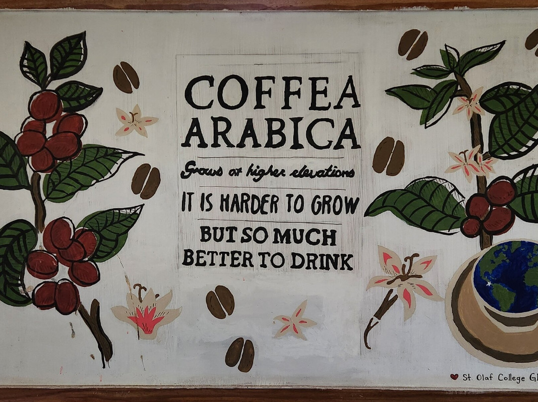 Café Monteverde Coffee Tour-圣埃伦娜必去景点