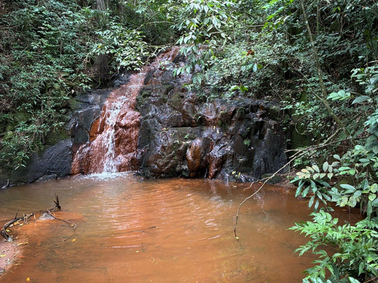 Trilha Contemplativa Jardim das Águas-Pardinho必去景点