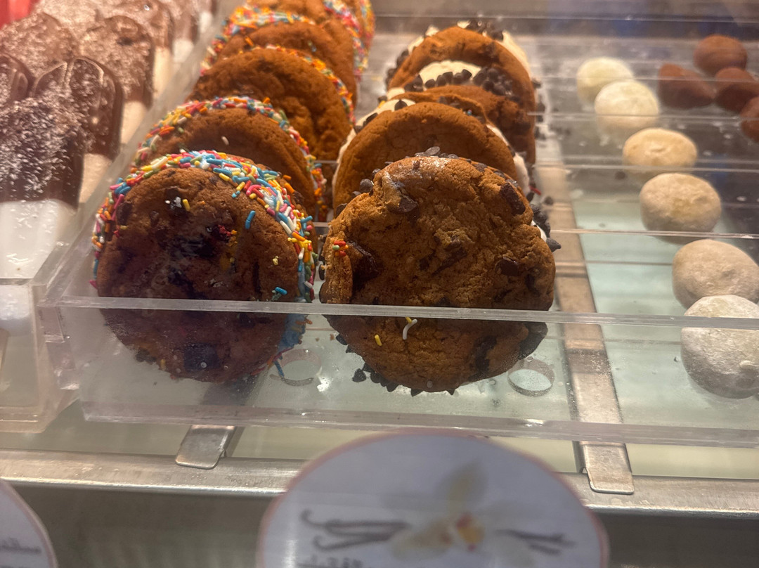 SeaWorld Yas Island Abu Dhabi-阿布扎比必去景点