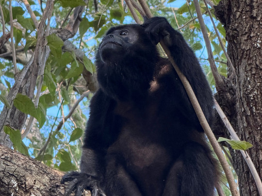 My Costa Rica-圣何塞必去景点