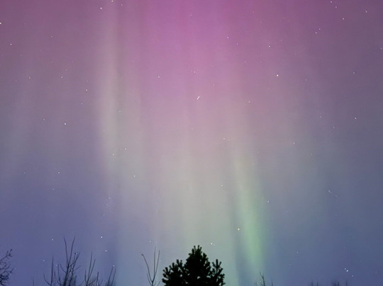 FjordSafari-弗洛姆必去景点