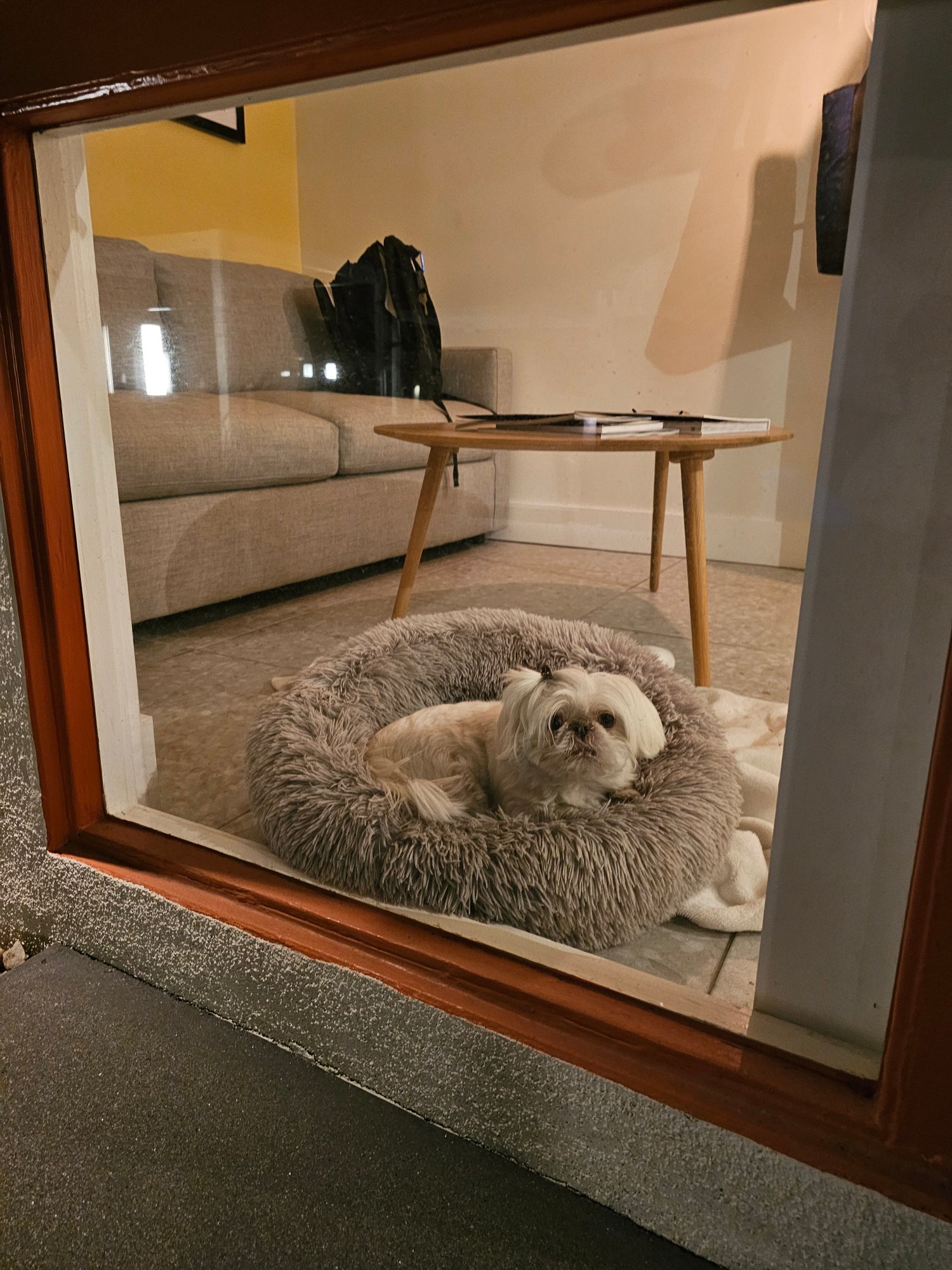 Mojave Resort-官方