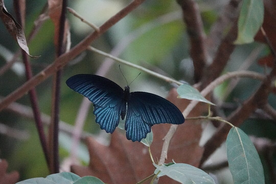 Vietnature Tour (cattien Wild Tour)-Tan Phu District必去景点